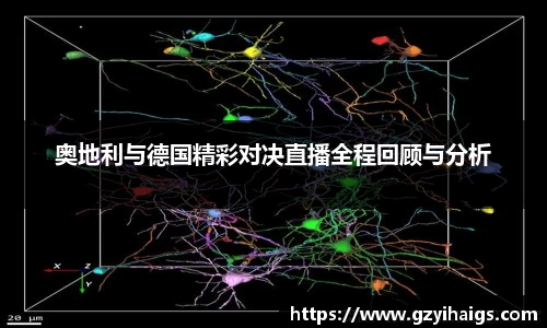 奥地利与德国精彩对决直播全程回顾与分析